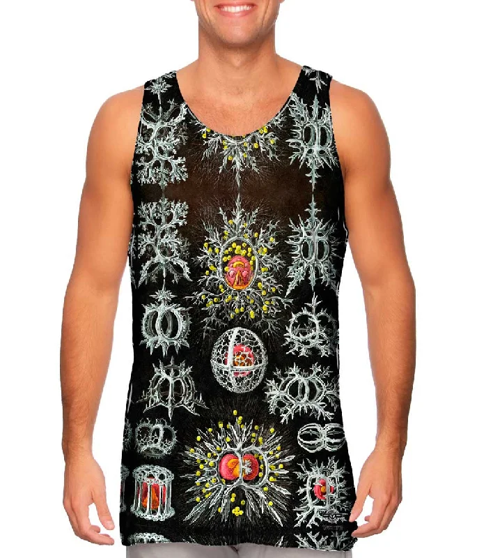 Plus Size Women's Criss - Cross Back Tank Tops in Neon ColorsErnst Haeckel - "Haeckel Stephoidea" (1904) Plus Size Women's Criss - Cross Back Tank Tops in Neon ColorsErnst Haeckel - "Haeckel Stephoidea" (1904)