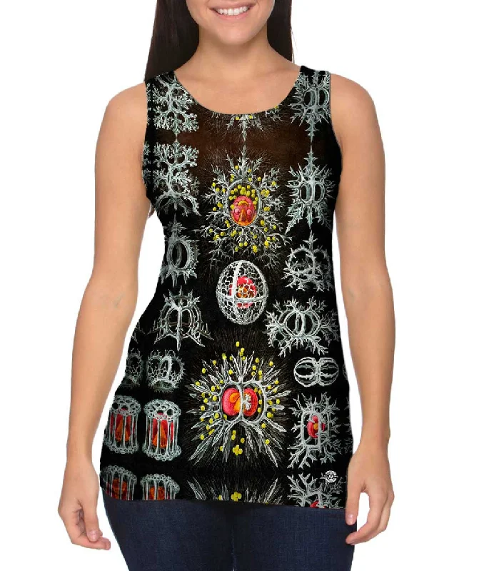 Women's Sleeveless Ribbed Tank Tops for a Trendy LookErnst Haeckel - "Haeckel Stephoidea" (1904) Women's Sleeveless Ribbed Tank Tops for a Trendy LookErnst Haeckel - "Haeckel Stephoidea" (1904)